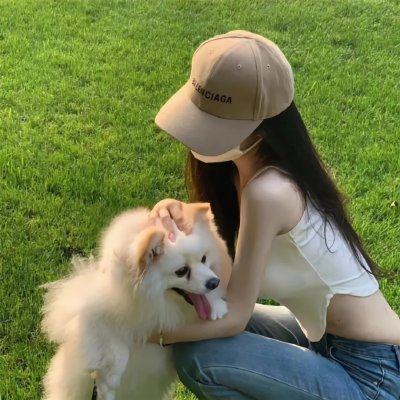 星际狗狗海报
