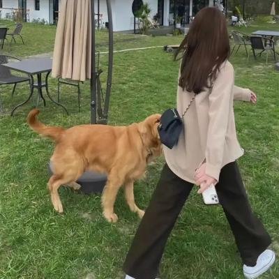 我爸爸是赏金猎人海报